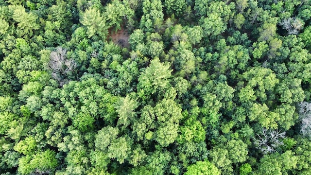 6.54AC Arrowhead Rd, Wisconsin Dells, WI 53965