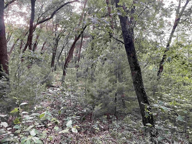 6.54AC Arrowhead Rd, Wisconsin Dells, WI 53965