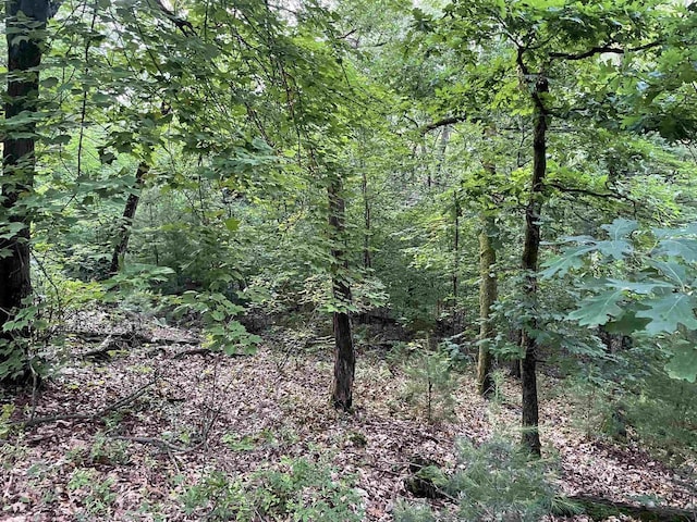6.54AC Arrowhead Rd, Wisconsin Dells, WI 53965