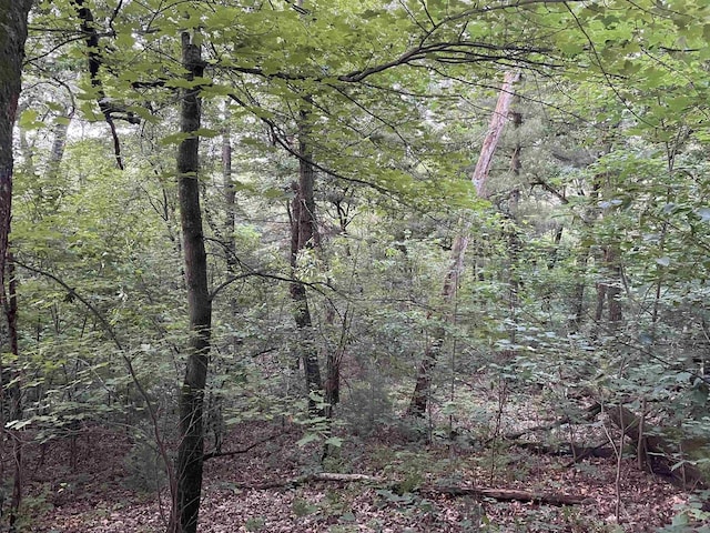 6.54AC Arrowhead Rd, Wisconsin Dells, WI 53965