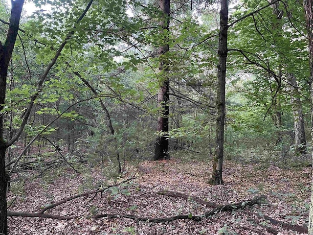 6.54AC Arrowhead Rd, Wisconsin Dells, WI 53965