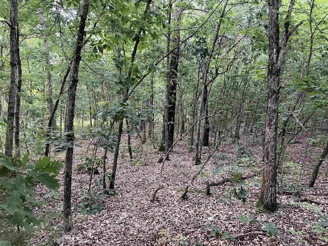 6.54AC Arrowhead Rd, Wisconsin Dells, WI 53965