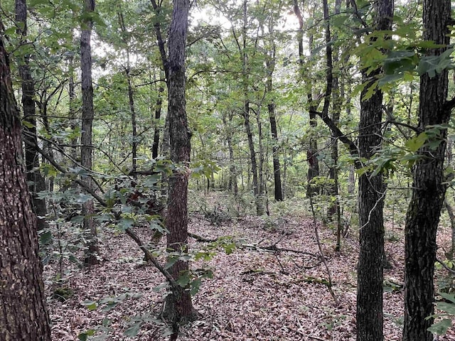 6.54AC Arrowhead Rd, Wisconsin Dells, WI 53965