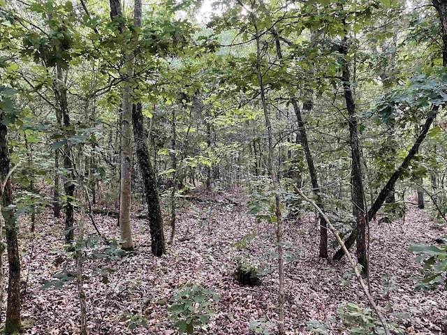 6.54AC Arrowhead Rd, Wisconsin Dells, WI 53965