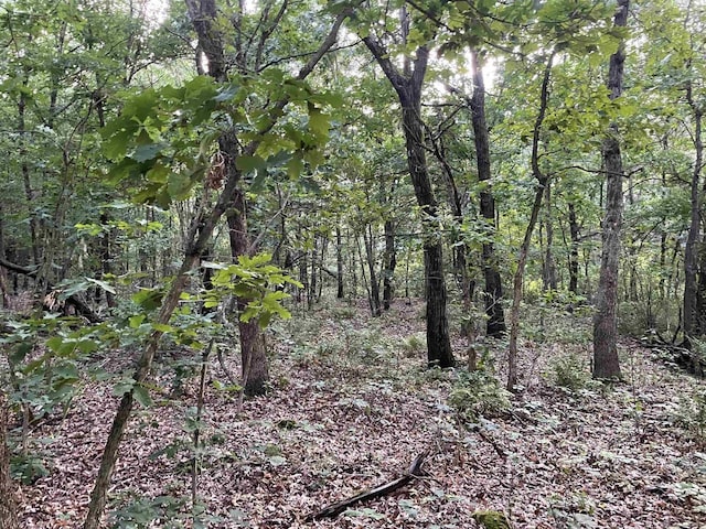 6.54AC Arrowhead Rd, Wisconsin Dells, WI 53965