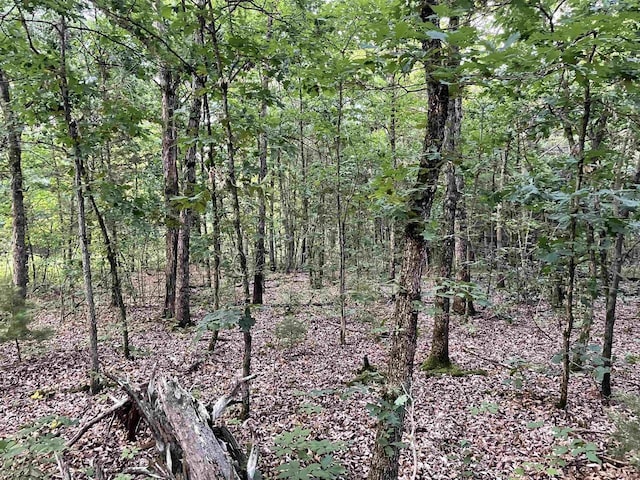6.54AC Arrowhead Rd, Wisconsin Dells, WI 53965