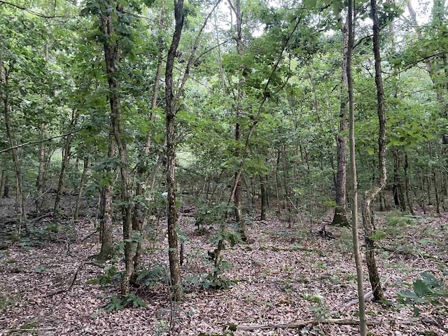 6.54AC Arrowhead Rd, Wisconsin Dells, WI 53965