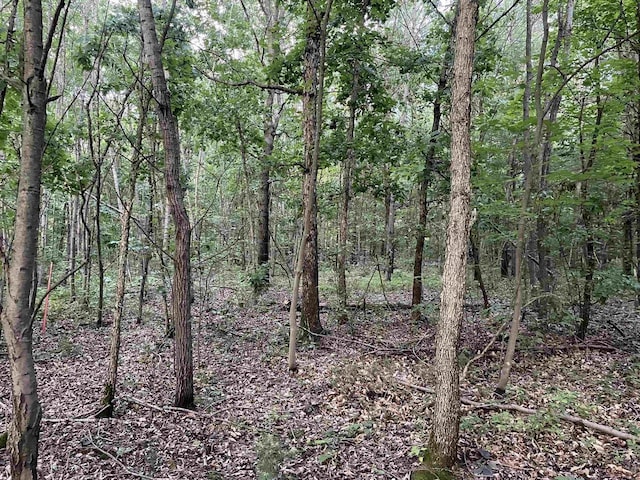 6.54AC Arrowhead Rd, Wisconsin Dells, WI 53965