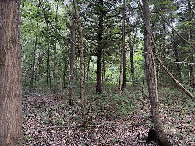 6.54AC Arrowhead Rd, Wisconsin Dells, WI 53965