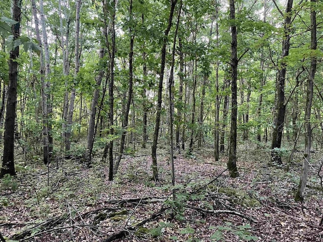 6.54AC Arrowhead Rd, Wisconsin Dells, WI 53965