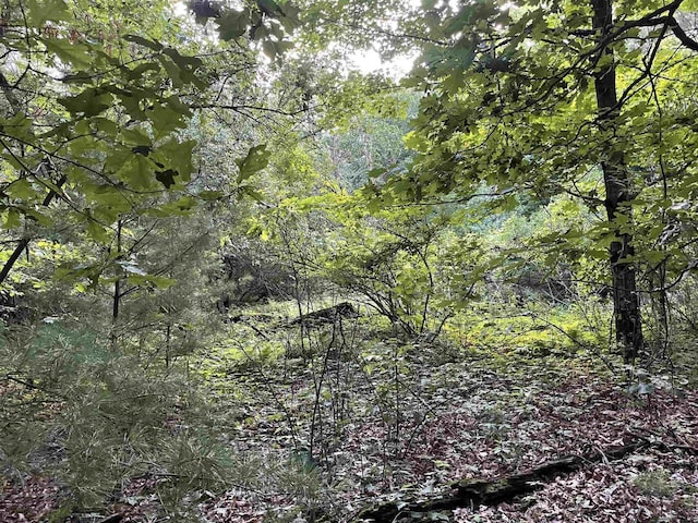 6.54AC Arrowhead Rd, Wisconsin Dells, WI 53965