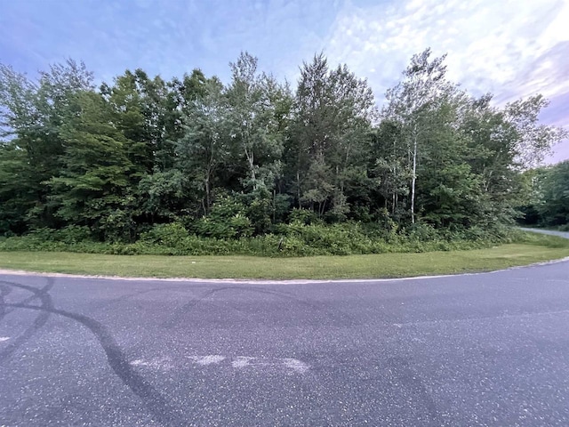 6.54AC Arrowhead Rd, Wisconsin Dells, WI 53965