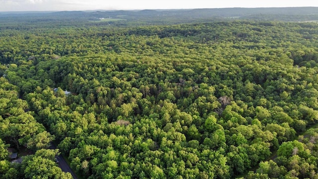 6.54AC Arrowhead Rd, Wisconsin Dells, WI 53965