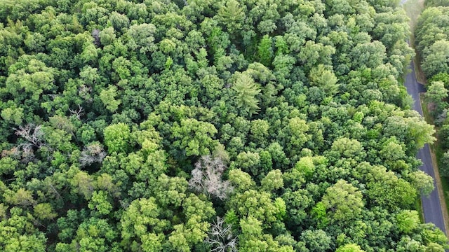 6.54AC Arrowhead Rd, Wisconsin Dells, WI 53965