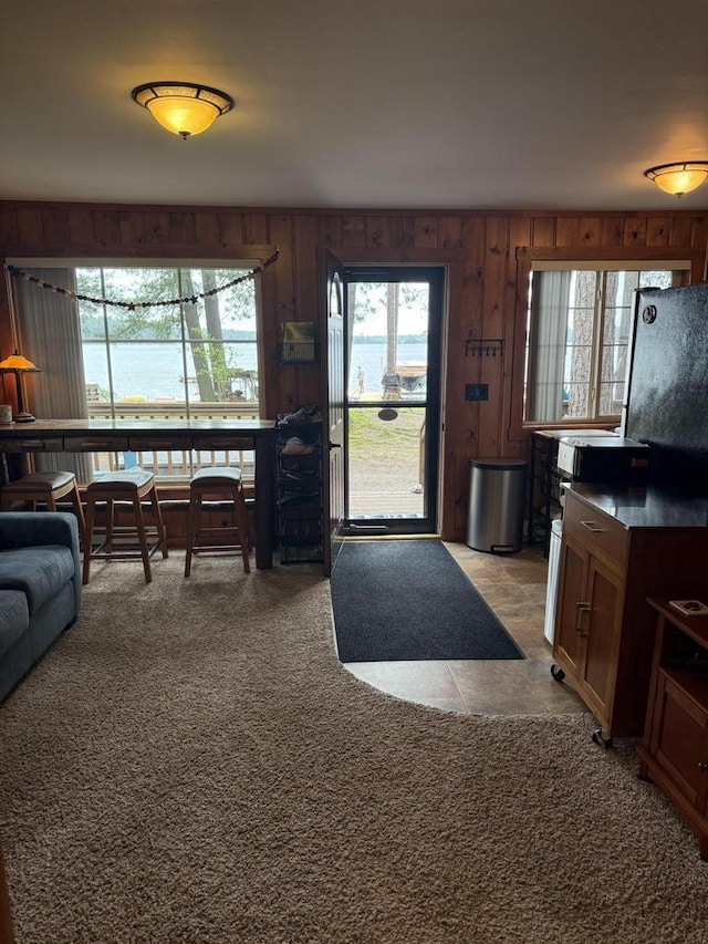 W6020 Northern Lights Cir Unit 7, Tomahawk, WI 54487 - living area with healthy amount of natural light, wooden walls, and light carpet