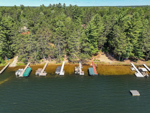 W6020 Northern Lights Cir Unit 7, Tomahawk, WI 54487 - bird's eye view of a forest and a large body of water