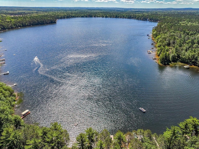W6020 Northern Lights Cir Unit 7, Tomahawk, WI 54487 - aerial view of a forest and a large body of water