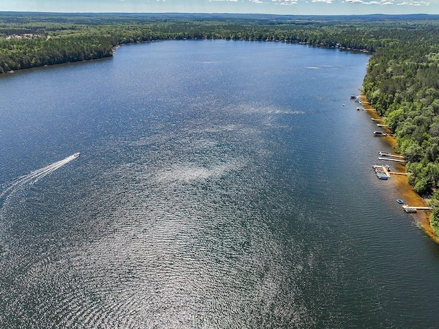 W6020 Northern Lights Cir Unit 7, Tomahawk, WI 54487 - drone / aerial view of a heavily wooded area and a large body of water