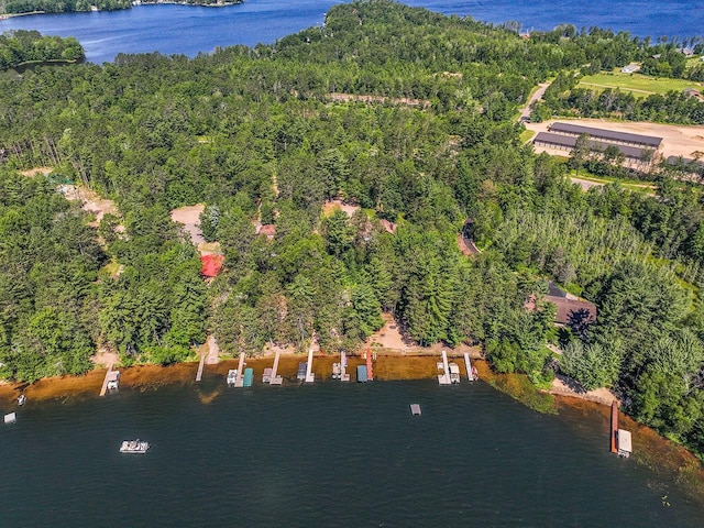 W6020 Northern Lights Cir Unit 7, Tomahawk, WI 54487 - aerial view of a large body of water