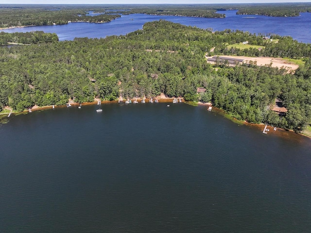 W6020 Northern Lights Cir Unit 7, Tomahawk, WI 54487 - drone / aerial view of a nearby body of water