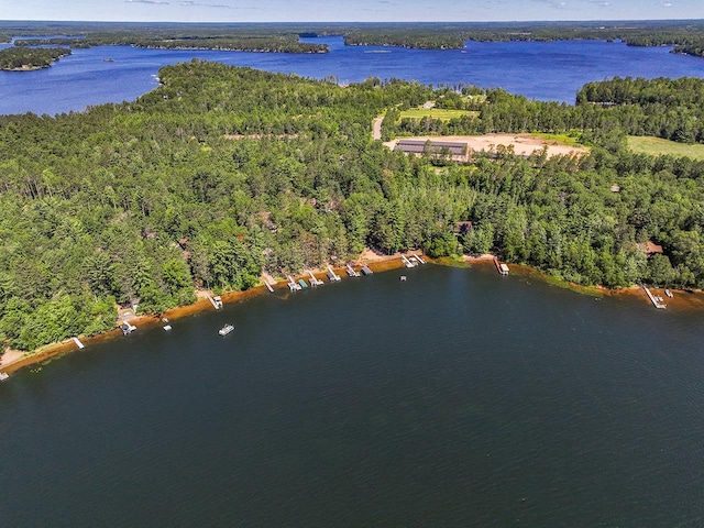 W6020 Northern Lights Cir Unit 7, Tomahawk, WI 54487 - aerial view of property's location featuring a forest