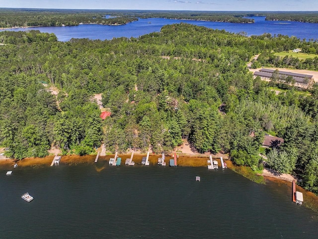 W6020 Northern Lights Cir Unit 7, Tomahawk, WI 54487 - drone / aerial view of a forest and a large body of water