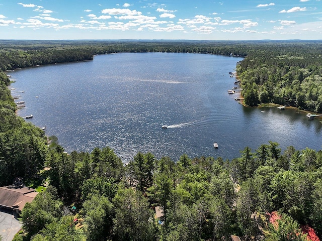 W6020 Northern Lights Cir Unit 7, Tomahawk, WI 54487 - water view with a heavily wooded area