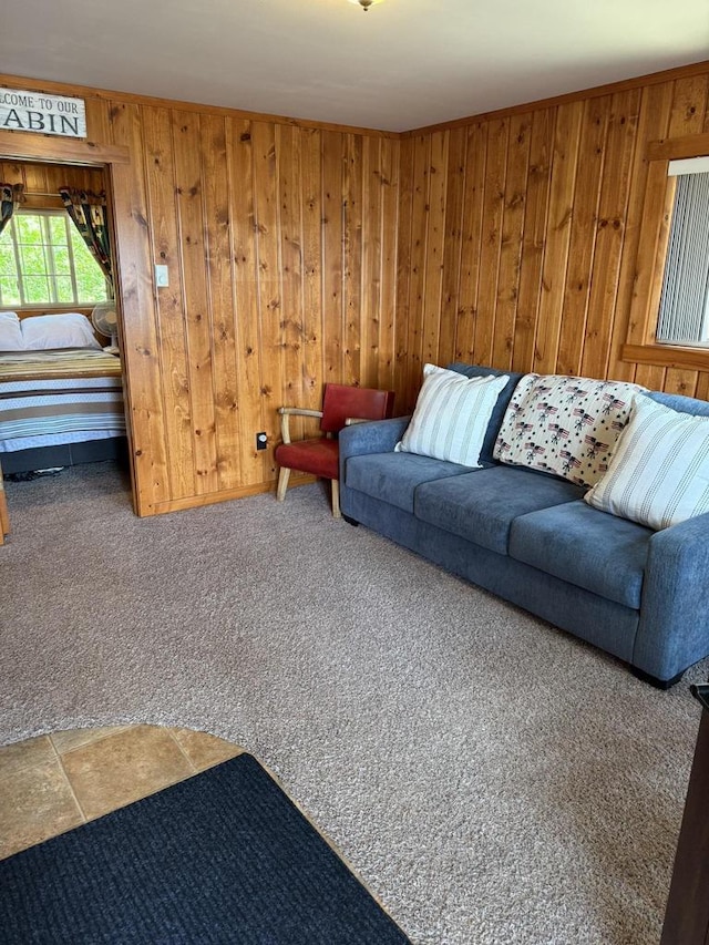 W6020 Northern Lights Cir Unit 7, Tomahawk, WI 54487 - carpeted living area with wooden walls