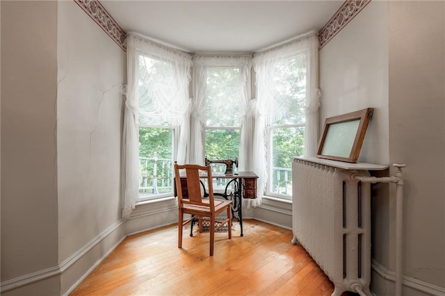 246 Coleman St, Chippewa Falls, WI 54729 - sitting room featuring plenty of natural light and light wood finished floors