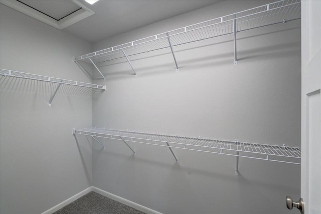 615 Prospect Rd, Waunakee, WI 53597 - spacious closet featuring carpet floors