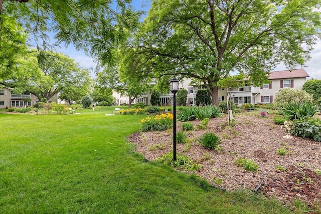 2360 Wisconsin St, Oshkosh, WI 54901 - view of green lawn