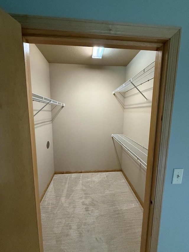 N82W13370 Fond Du Lac Ave Unit 101, Menomonee Falls, WI 53051 - walk in closet featuring carpet