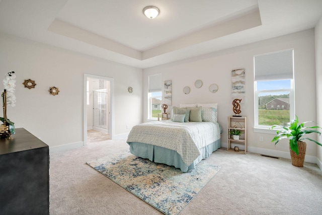 520 Meadow View Dr, Slinger, WI 53086 - bedroom featuring a tray ceiling and carpet floors