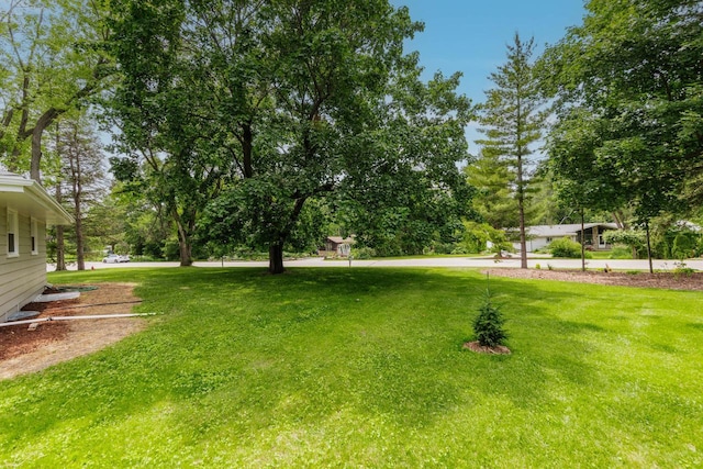 15300 Clifford Ct, Brookfield, WI 53005 - view of green lawn with view of wooded area