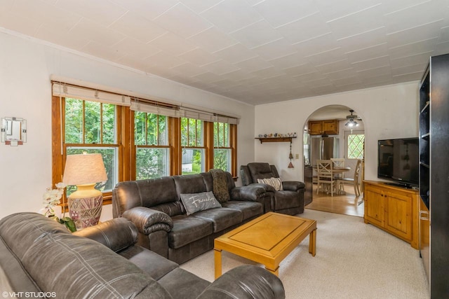W3632 Oakrest Ave, Lake Geneva, WI 53147 - living area with arched walkways, plenty of natural light, and light colored carpet