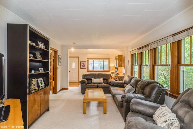 W3632 Oakrest Ave, Lake Geneva, WI 53147 - living area with light carpet and ornamental molding