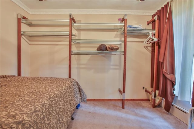 N9988 Mohawksin, Tomahawk, WI 54487 - bedroom featuring carpet floors, ornamental molding, and a closet