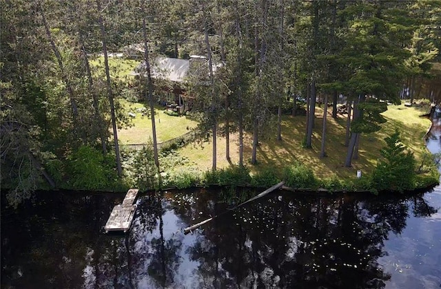 N9988 Mohawksin, Tomahawk, WI 54487 - view of property location with a large body of water