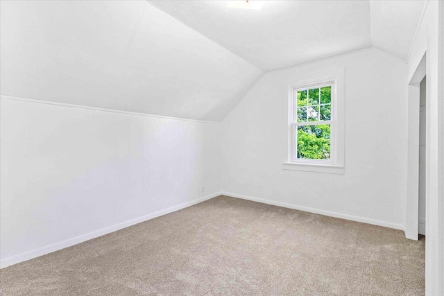 117 6th St, Nekoosa, WI 54457 - additional living space with lofted ceiling and carpet floors