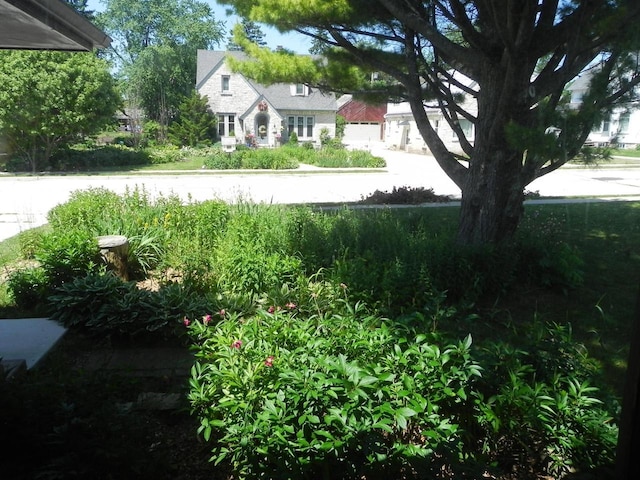 206 S High St, Port Washington, WI 53074 - view of yard