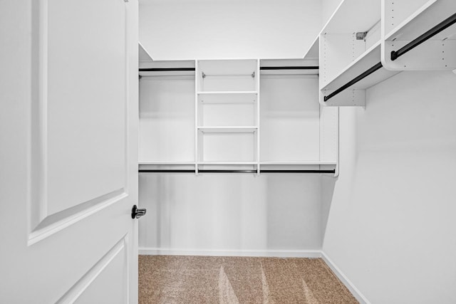 1382 Prairie Creek Cir Unit 15D, Oconomowoc, WI 53066 - walk in closet with carpet floors