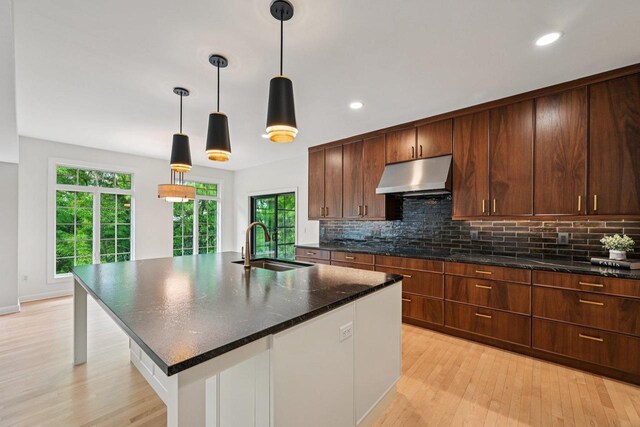 1706 Ashlawn Ln, Waunakee, WI 53597 - kitchen featuring under cabinet range hood, decorative backsplash, light wood-style flooring, and recessed lighting