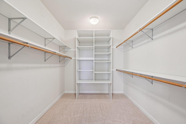 1706 Ashlawn Ln, Waunakee, WI 53597 - walk in closet with carpet flooring