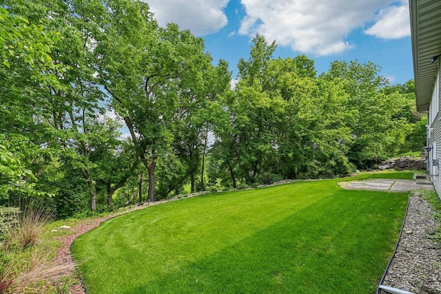 1706 Ashlawn Ln, Waunakee, WI 53597 - view of green lawn