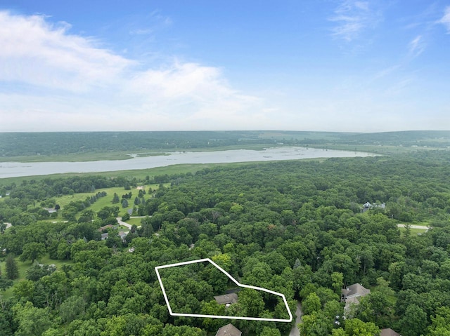 2831 N Wildwood Dr, Lake Geneva, WI 53147 - aerial view of property's location featuring a heavily wooded area and property parcel outlined