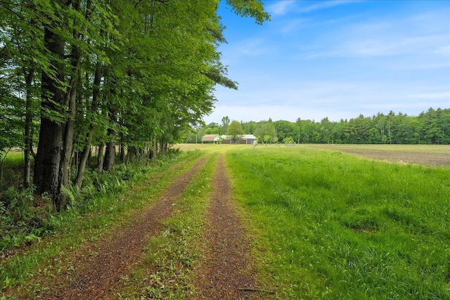 7269 County Road V, Marshfield, WI 54449 - view of yard with a view of rural / pastoral area and a wooded view