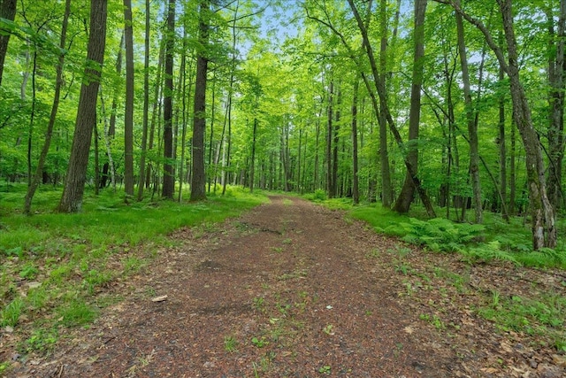 7269 County Road V, Marshfield, WI 54449 - view of road featuring a view of trees