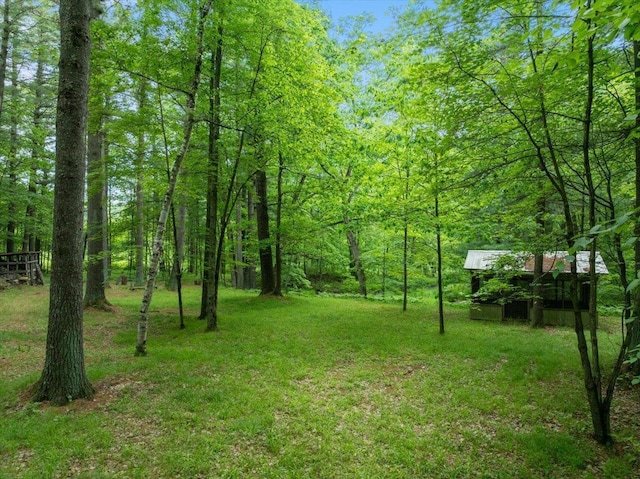 7269 County Road V, Marshfield, WI 54449 - view of yard with a wooded view