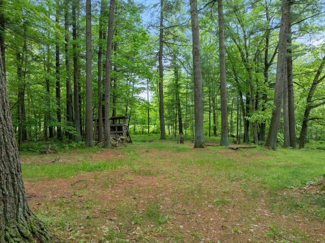7269 County Road V, Marshfield, WI 54449 - view of yard featuring a wooded view
