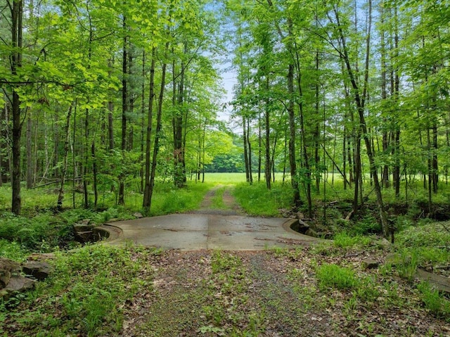 7269 County Road V, Marshfield, WI 54449 - view of road featuring a forest view